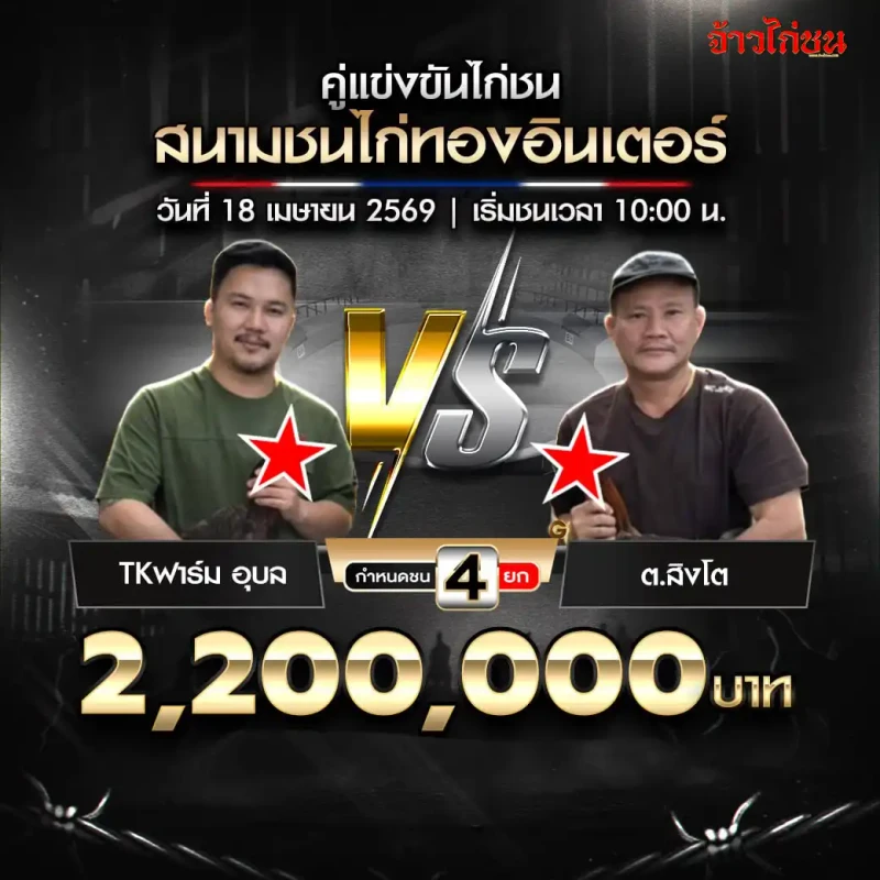 TKฟาร์ม อุบล พบ ต.สิงโต สนามชนไก่ทองอินเตอร์