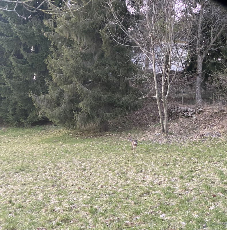 61D449BB-26A1-427B-99BE-E0684C9DAA91