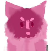 2024_05_16_0ji_Kleki