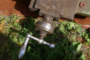 IMGP7098