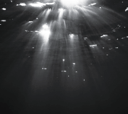 tumblr_9a2fb946528f84688c7ef5d0b278c926_62efa11d_400