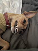 0DDB8540-330F-499E-AB69-A74B7106EC2F