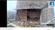 Châteauneuf. Capture-d-cran-2022-04-02-141324