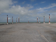 DSC00478