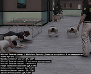academy4