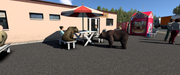 ets2-20250506-200722-00.png