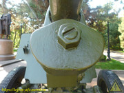 DSCN6738