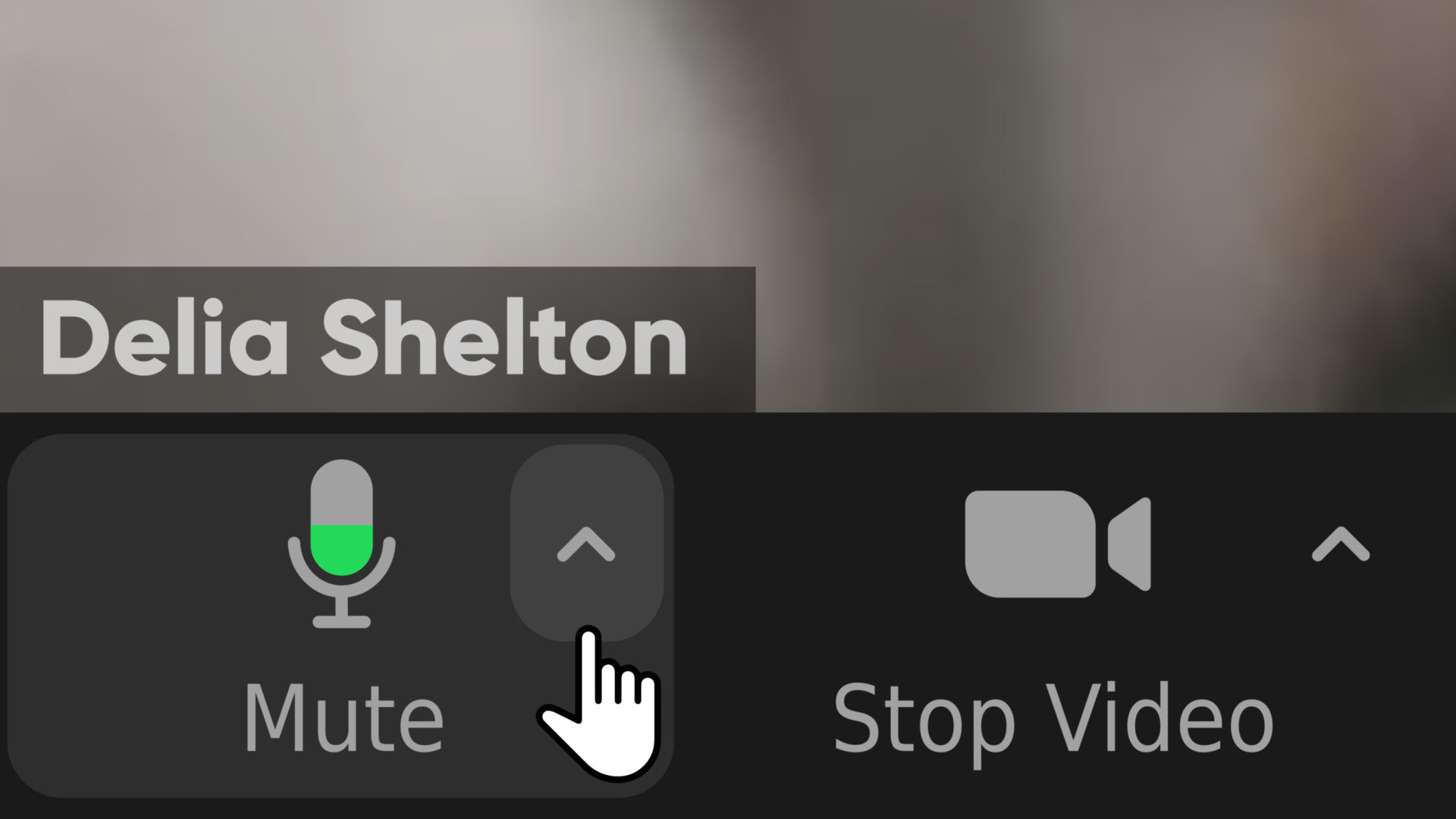 Zoom Views: Online Video Conference Toolkit - 15