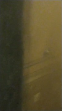 [Image: Voyeur29955122405.jpg]