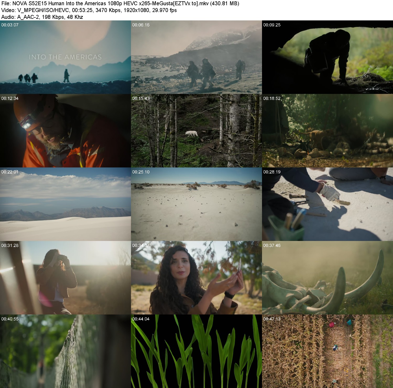 [Image: a9fq1g6dcf1z.jpg]