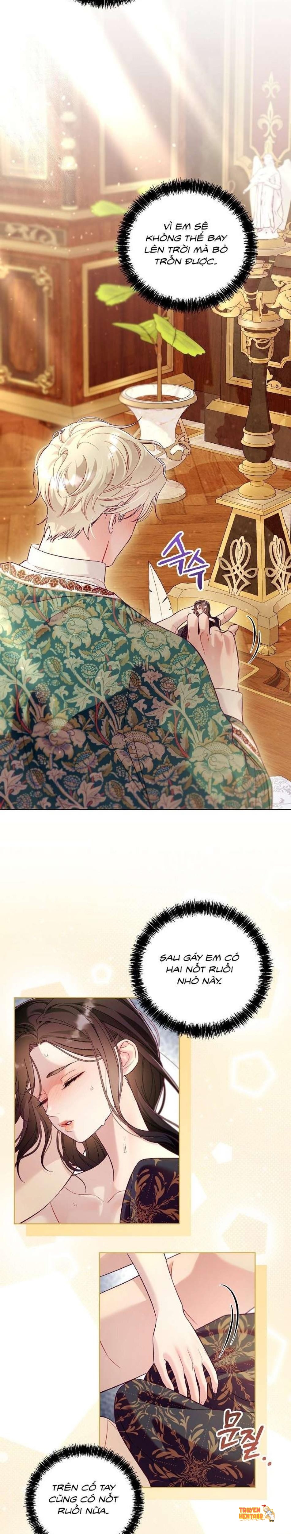 Xem ảnh [18+] Lồng Chim Của Người Sưu Tầm - Chapter 10 - tmpir698mwa - Truyenhentaiz.net