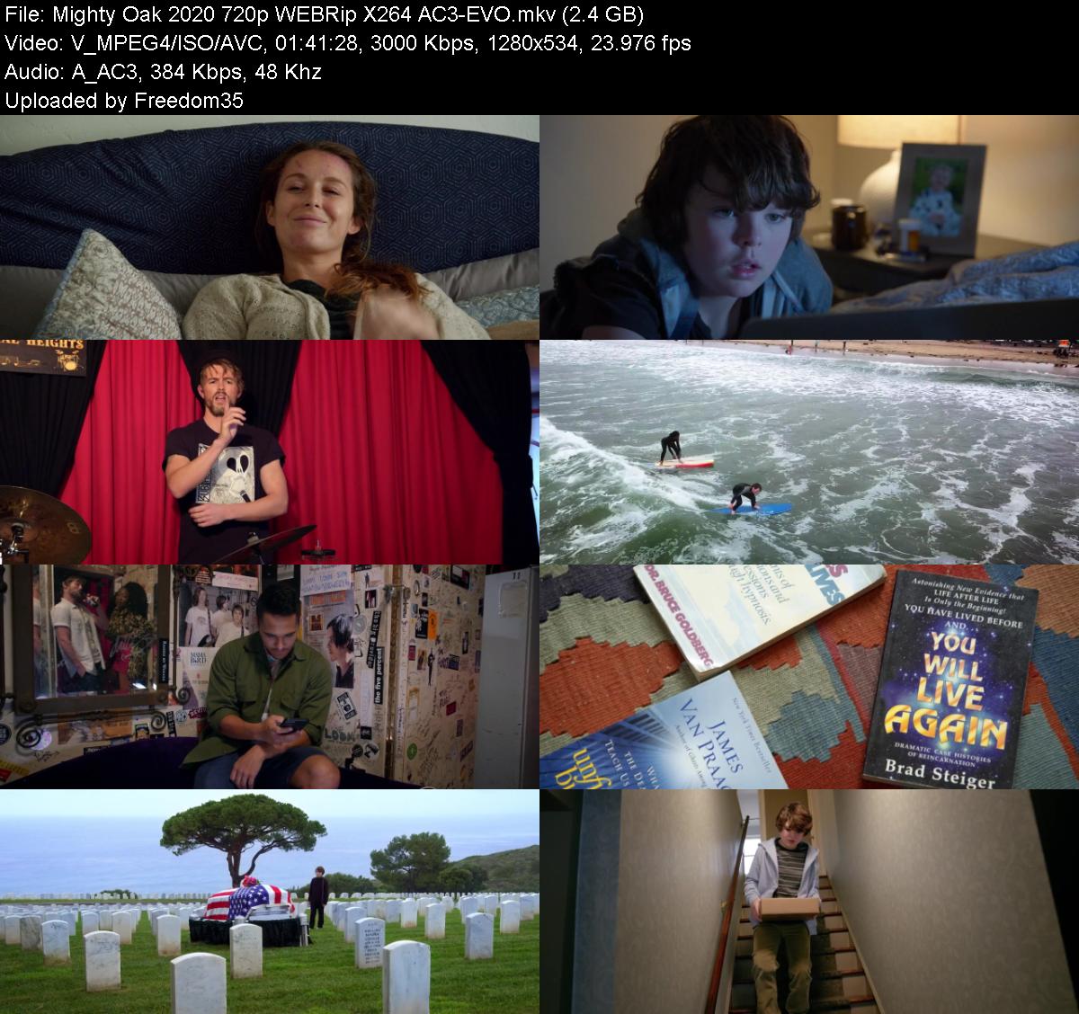 Mighty-Oak-2020-720p-WEBRip-X264-AC3-EVO