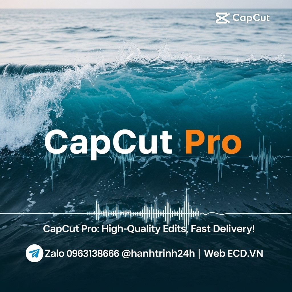 review capcut shared