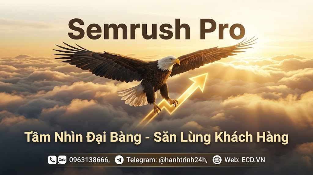 semrush account 1 year