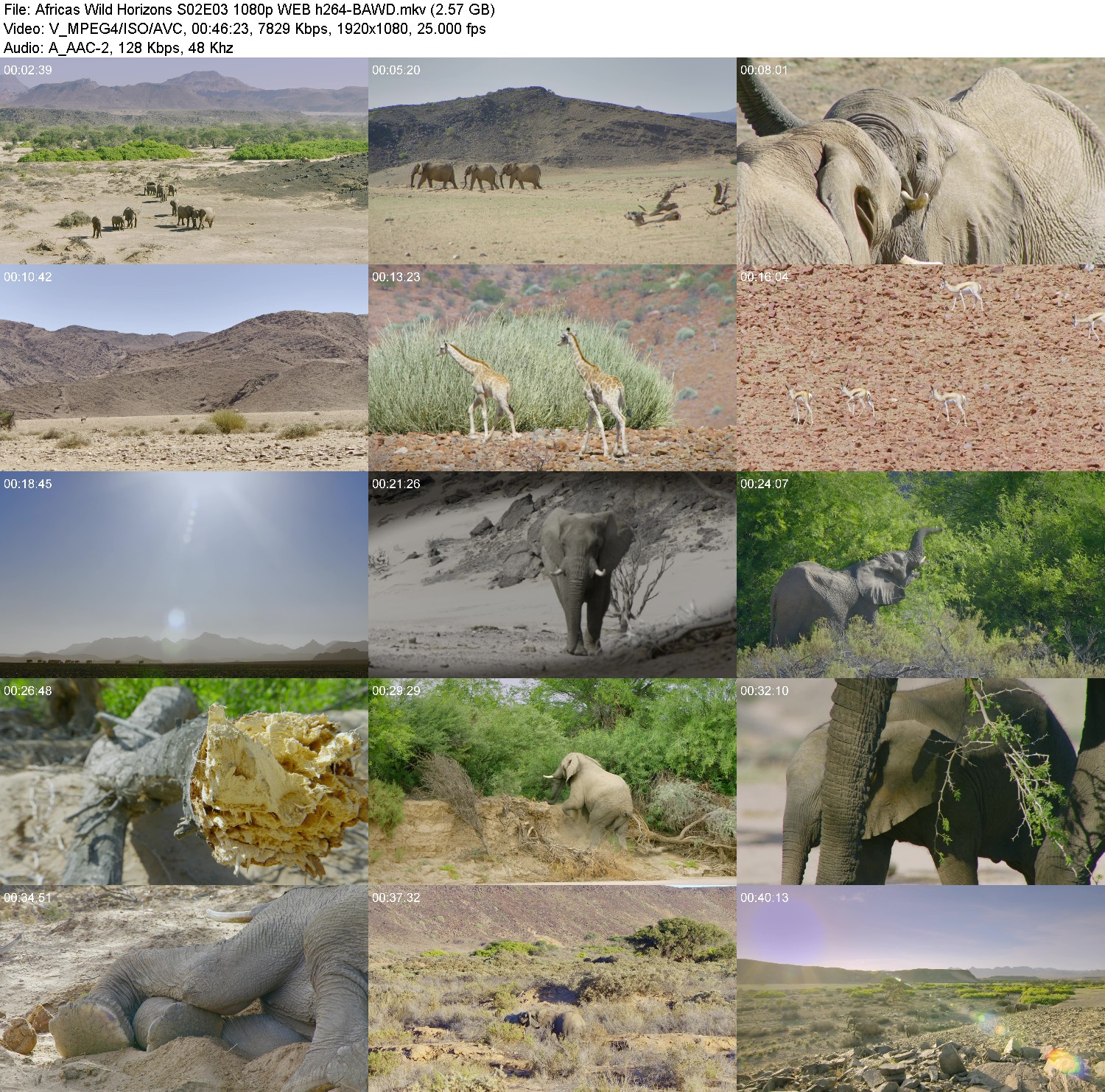 [Image: 9dyo8xb1v4qn.jpg]