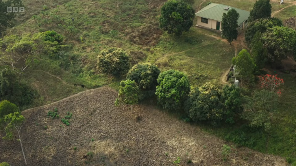 [Image: a73e87glgsxr.png]