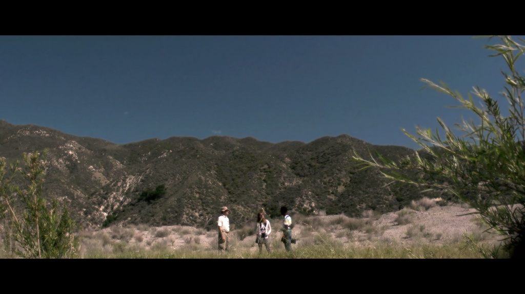 [Image: 2yfn21xsqi2h.png]