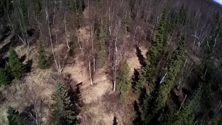 [Image: 4opbf8f3y4db.jpg]