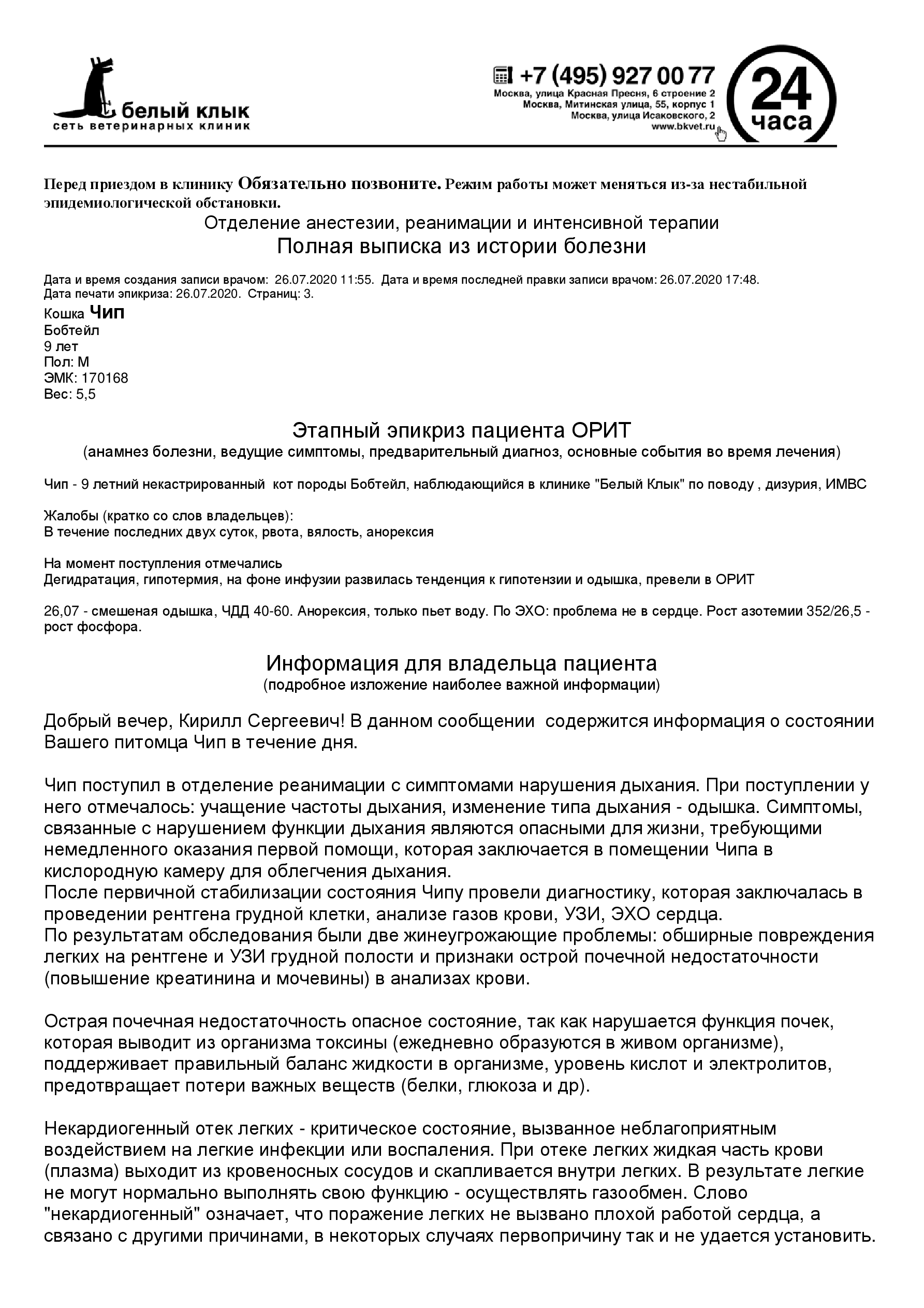 Этапный эпикриз последовательно Кошка Чип 1701681 — Postimages