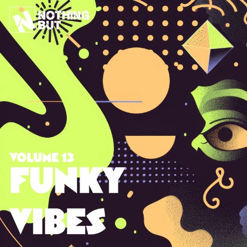 Nothing-But-Funky-Vibes-Vol-13.jpg