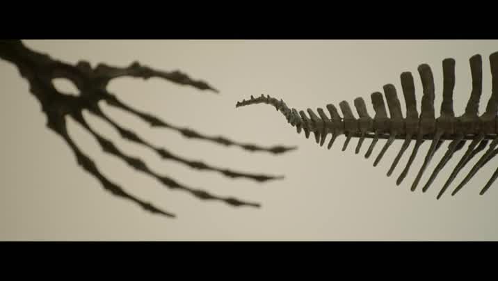 [Image: 66bqu6y2axjp.jpg]