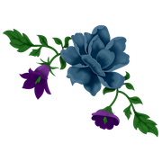 Peacock-Dreams-MM-Element-57