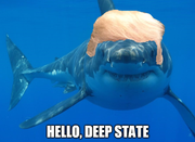 Trump hello deep state