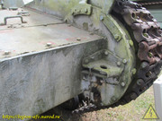 IMG-6377