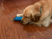 image_2023-02-02_230004308