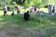 IMG-4082