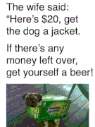 https://i.postimg.cc/dL7bD1tS/dog-jacket.gif