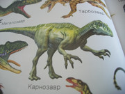 https://i.postimg.cc/dL7jHnMy/100-8625.jpg