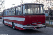 IMG-5619