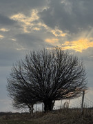 IMG-0885