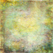 Tangerine-Winter-Kit-7