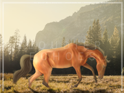 Untitled91_20250724211945