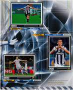 Album-Calciatori-2012-2013-Panini-087