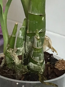 89482641-DA2E-40A4-9C66-78CC87F8B831