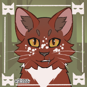 My SkyClan Leader, Deputy, and Medicine Cat. Credit to felidaze on