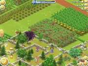 z2672413601981_aa762ccc3c7ff8d73c650a65504dfb41