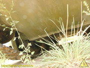 DSCN0535