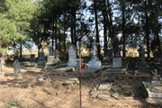 IMG-0330
