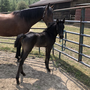 0ED85F49-E584-4BB1-842D-671BA5A654E5