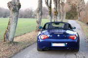 IMG-9423.jpg