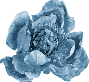 BC-ATaste-Of-Winter-El-75