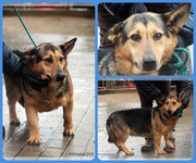 Be-Funky-collage-24.jpg&key=8ff15d5ed0d9