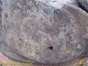 IMG-5223