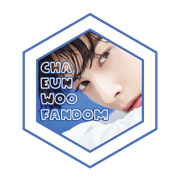 badge02chaeunwoofandom