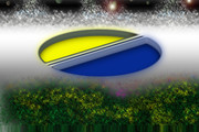 https://i.postimg.cc/dLrTr4BM/fog-patch-grass-below-copy.jpg