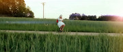 Alexandra-Hanstein-12-Der-Massl-Effekt-2010